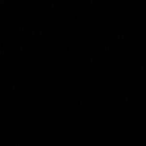 Meet your Posher, Carmen